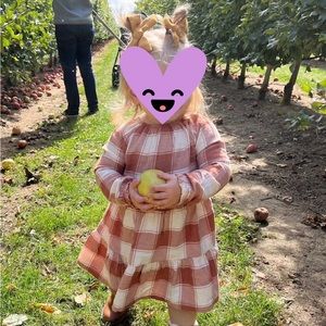 Carters flannel dress 24M